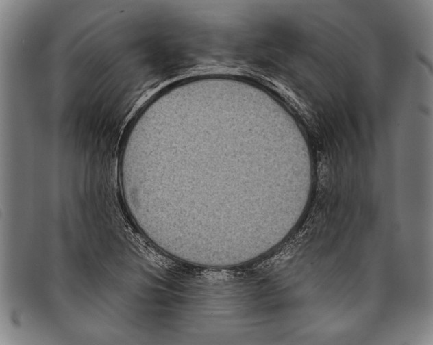 X0000097761220200804041118