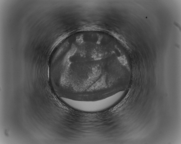 X0000097761221200804041118