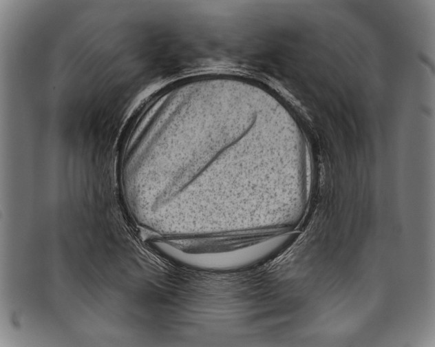 X0000097761222200804041118