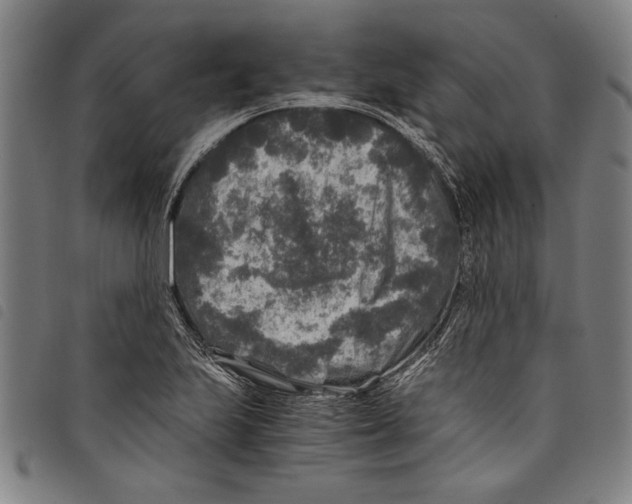 X0000097761223200804041118