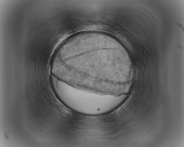 X0000097761224200804041118