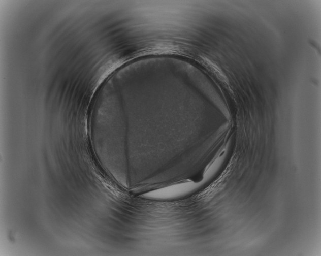 X0000097761226200804041118