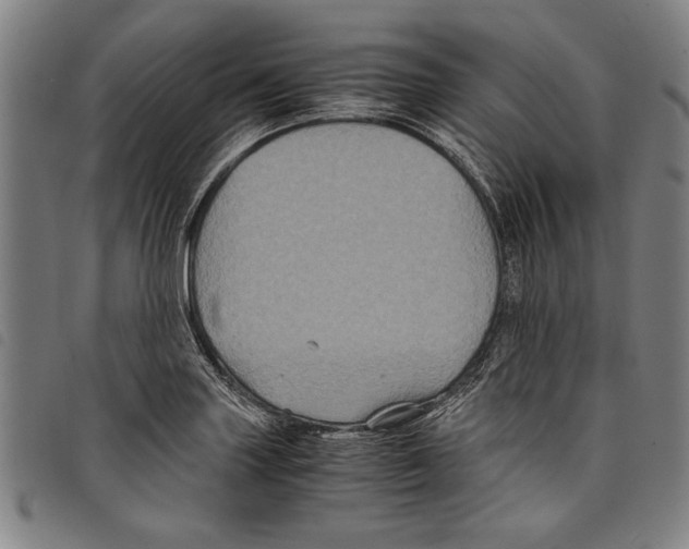 X0000097761227200804041118