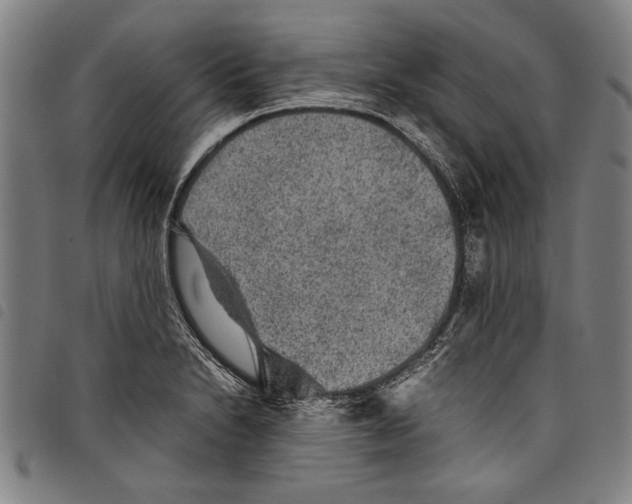 X0000097761230200804041118