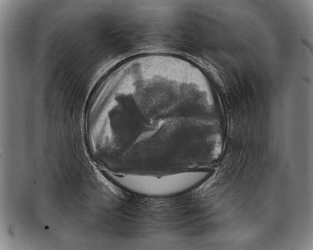 X0000097761231200804041118