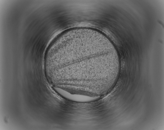 X0000097761232200804041118