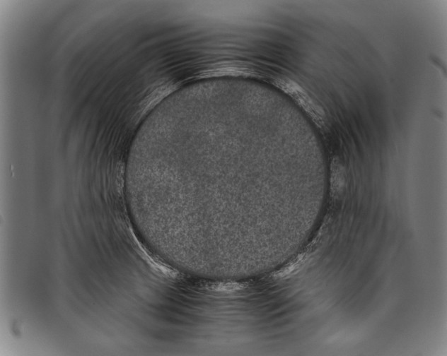 X0000097761233200804041118