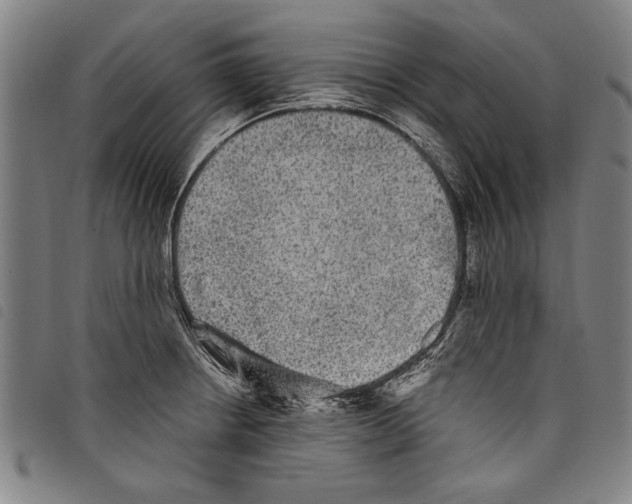 X0000097761234200804041118