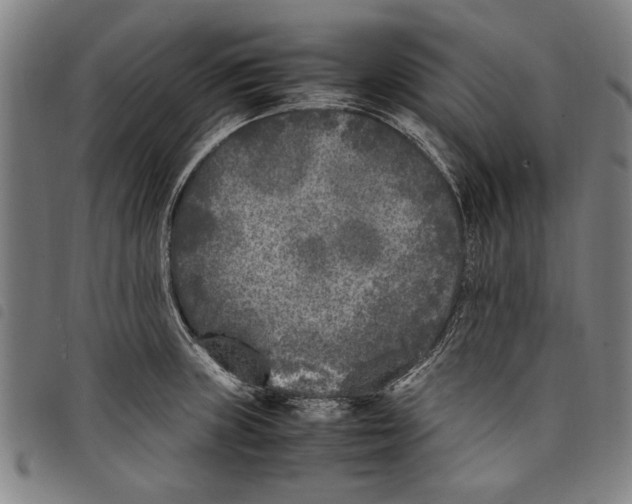 X0000097761235200804041118