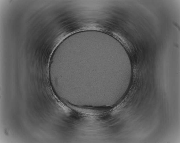 X0000097761236200804041118