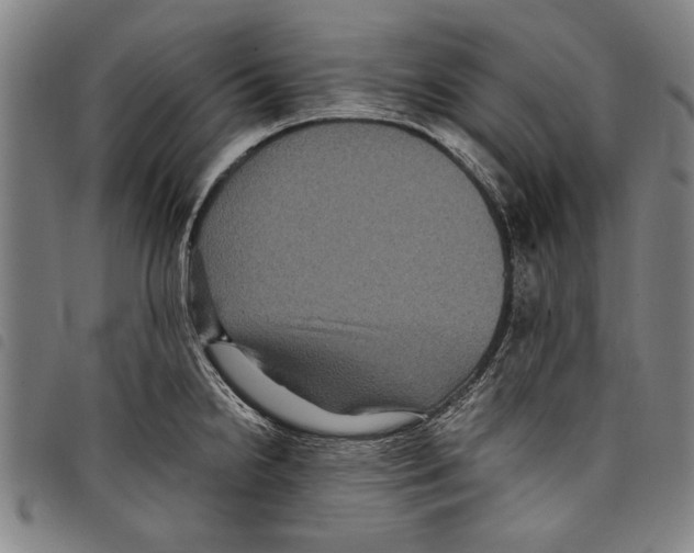 X0000097761238200804041118