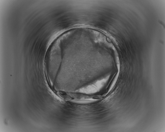 X0000097761239200804041118