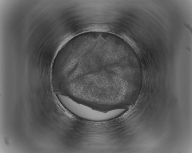 X0000097761240200804041118