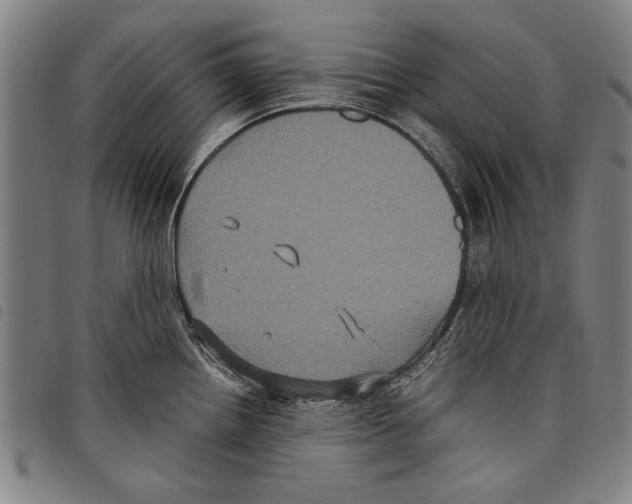 X0000097761242200804041118