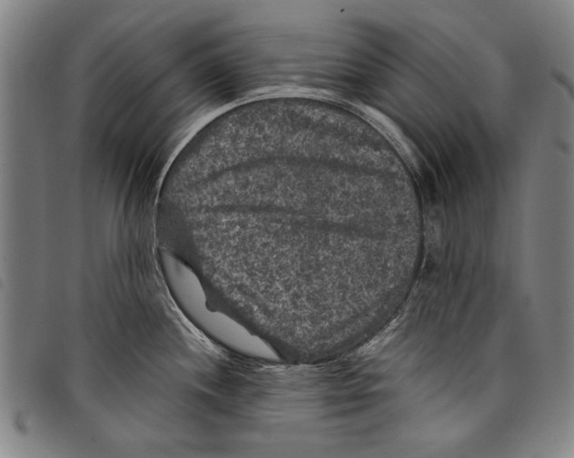 X0000097761244200804041118