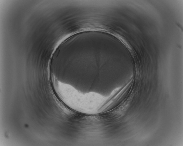 X0000097761246200804041118