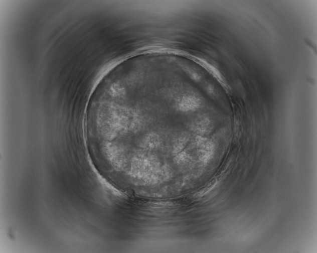 X0000097761247200804041118