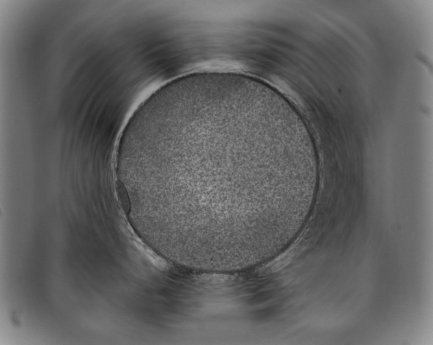 X0000097761248200804041118