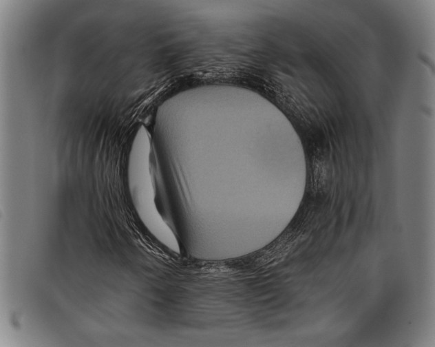 X0000097761250200804041118