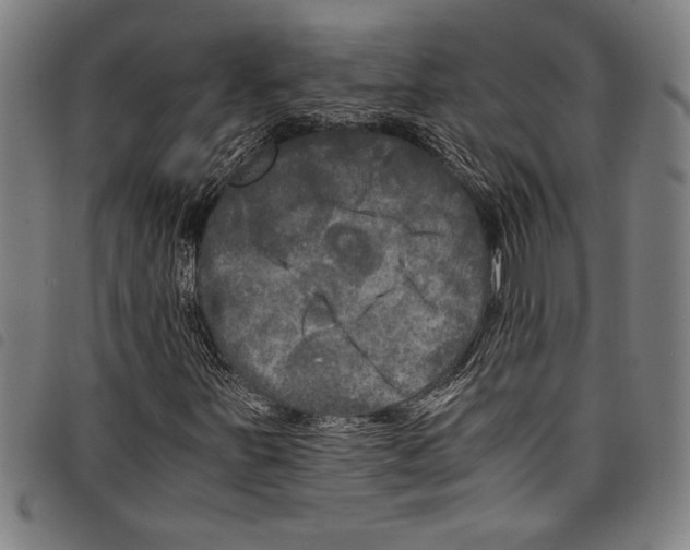 X0000097761251200804041118