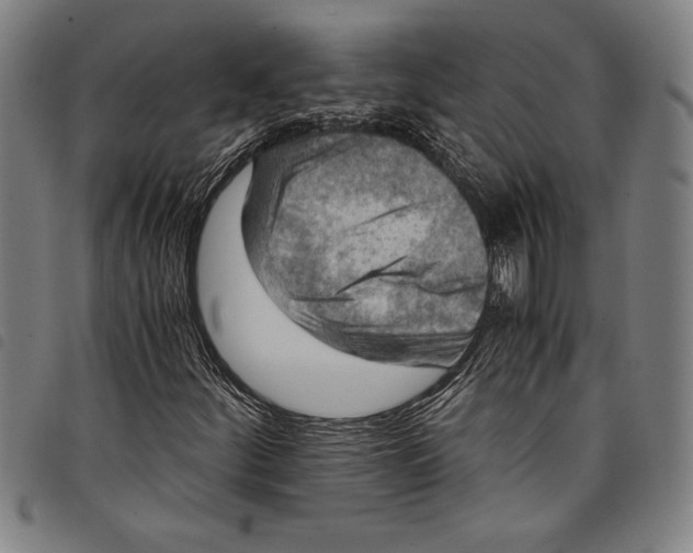 X0000097761252200804041118