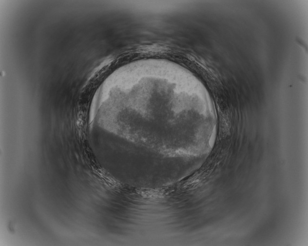 X0000097761254200804041118