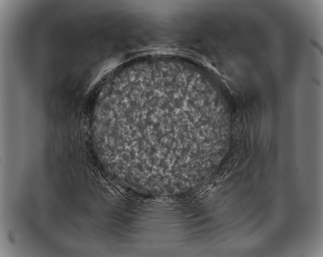 X0000097761255200804041118