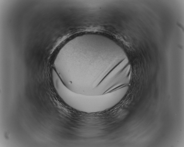 X0000097761256200804041118