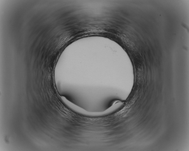 X0000097761257200804041118