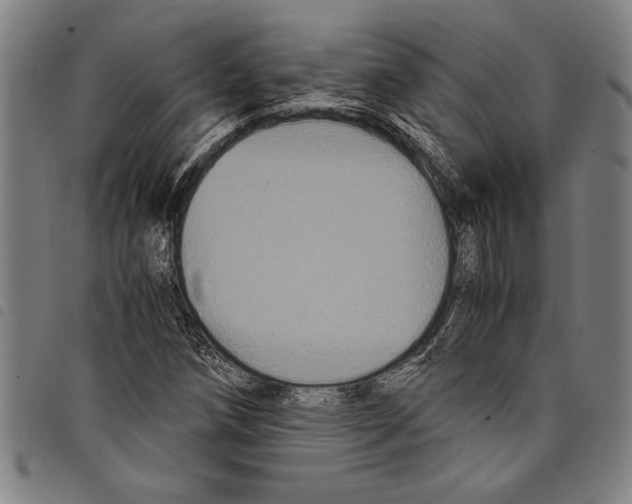 X0000097761258200804041117