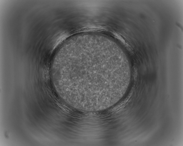 X0000097761259200804041117