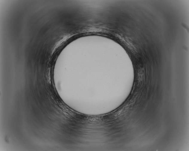 X0000097761262200804041117