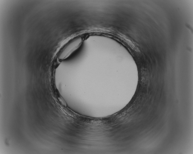 X0000097761264200804041117