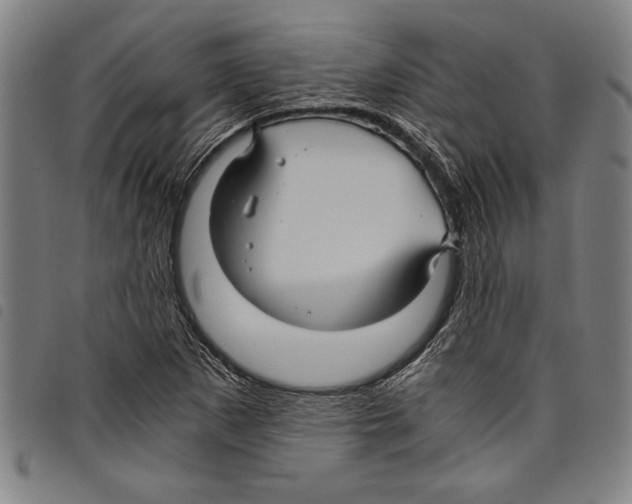 X0000097761265200804041117