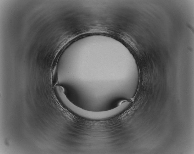 X0000097761268200804041117