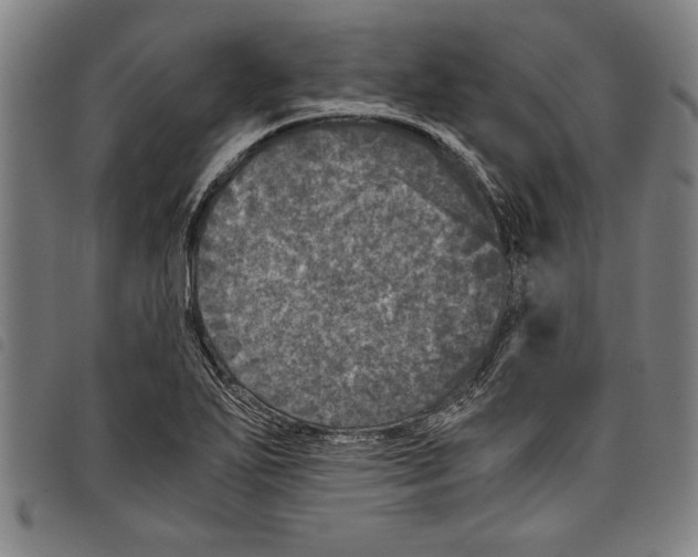 X0000097761271200804041117