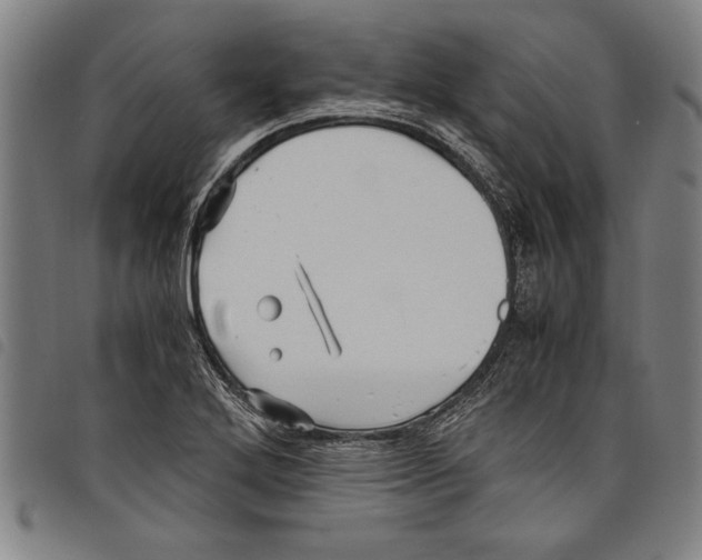 X0000097761272200804041117