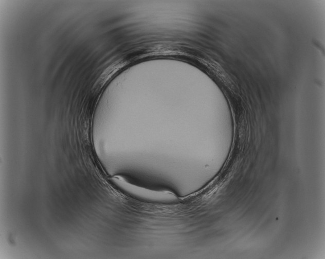 X0000097761273200804041117