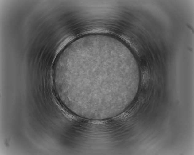 X0000097761274200804041117