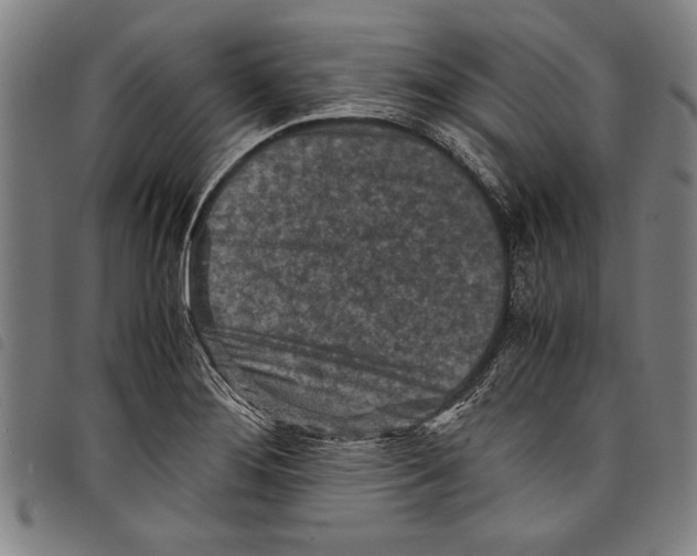 X0000097761276200804041117