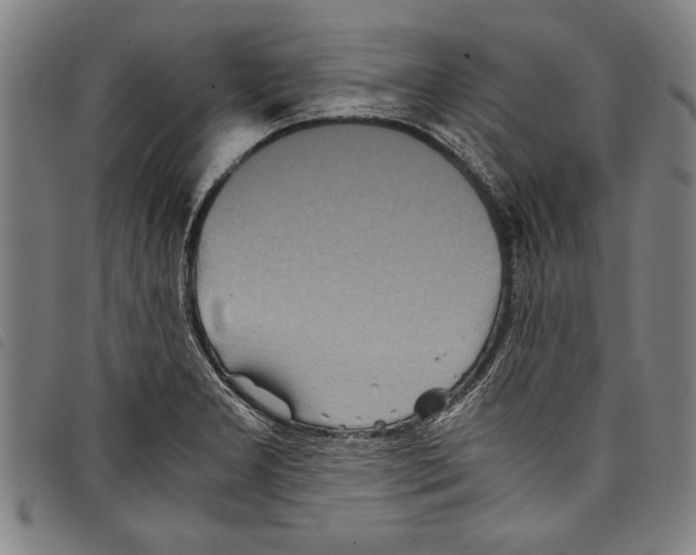 X0000097761277200804041117