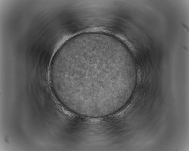 X0000097761278200804041117