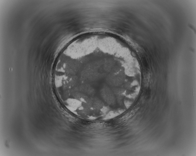 X0000097761279200804041117