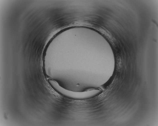 X0000097761280200804041117