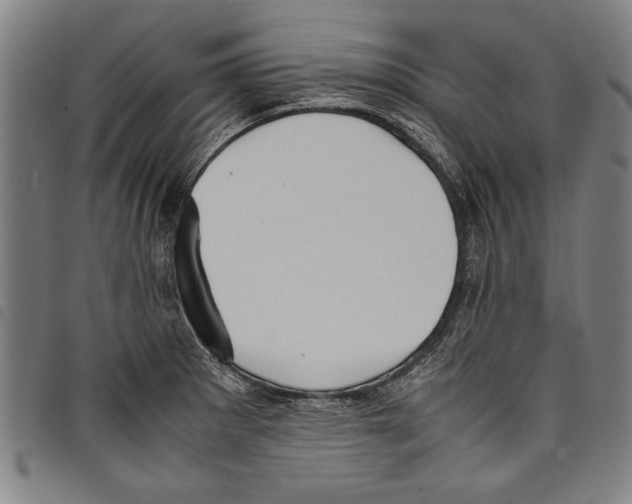 X0000097761281200804041117