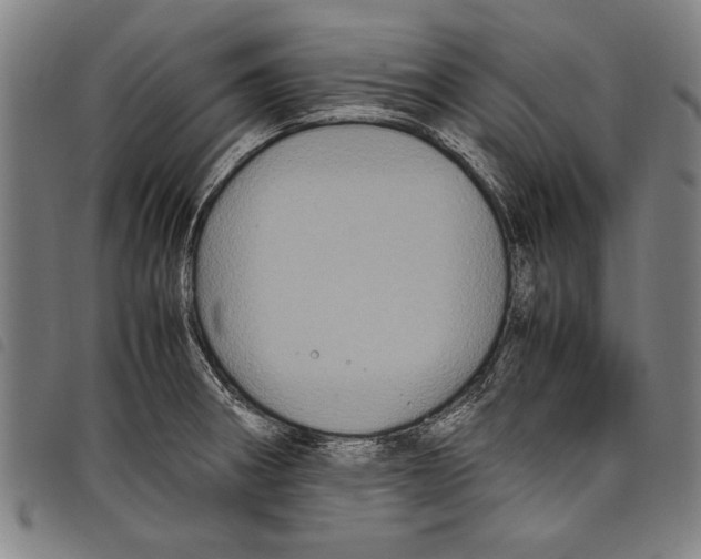 X0000097761282200804041117