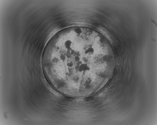 X0000097761283200804041117