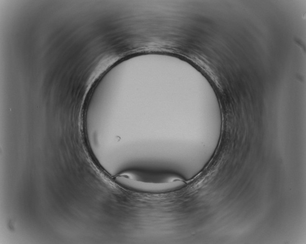 X0000097761285200804041117