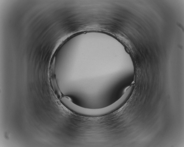 X0000097761288200804041117