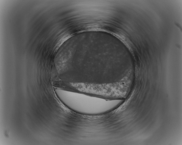 X0000097761289200804041117